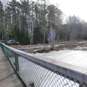 A light snowfall on Penny Lake Preserve in Boothbay Harbor. KATRINA CLARK/Boothbay Register