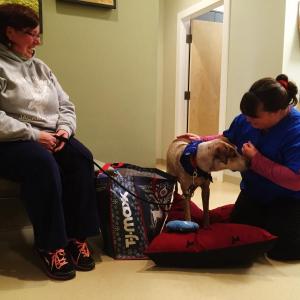 Underhound Railroad, Woodbrook Animal Clinic, Renee Coombs, Tammy Doughty