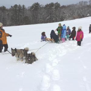Kids will study nature and try dog sledding during upcoming Damariscotta River Association Vacation Days program. Courtesy of the DRA