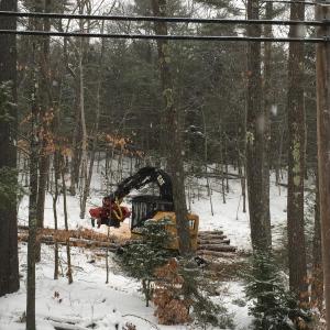 Cushman Mountain, Chewonki Foundation