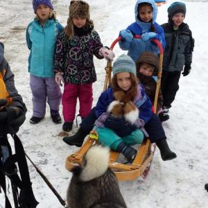 Program participants learn about this unusual breed of dog, Norwegian elkhound, and dog-sledding at a DRA program before they go for a ride. The Damariscotta River Association Winter Fest will offer similar opportunities as well as ice skating, snowshoeing, food, and an animal track craft. Courtesy of the DRA