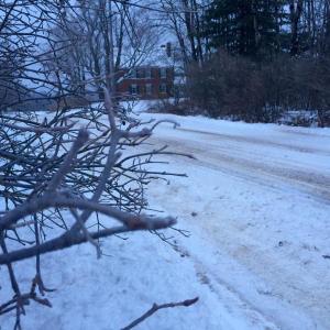 A very light glaze coats branches near a plowed and treated Head Tide Hill Road in Alna early Jan. 4. SUSAN JOHNS/Wiscasset Newspaper Head Tide Hill Road, Alna, winter