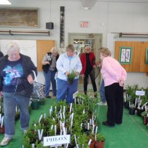 Mark you calendars for the Garden Club of Wiscasset’s annual plant sale on May 9. Courtesy of Carol Blake