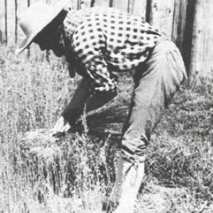 A living history reenactor portrays the colonial tradesman/farmer working in his garden. Courtesy of Beth Gilgun