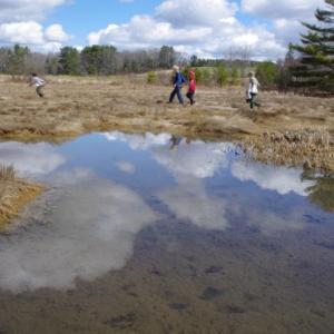 Kids will explore the salt marsh to look for mummichogs, mysid shrimp and other critters during the upcoming DRA April Vacation camp program. Courtesy of the Damariscotta River Association