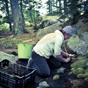 Portland textile artist Angela Adams creates a living rug at Coastal Maine Botanical Gardens. Courtesy of CMBG