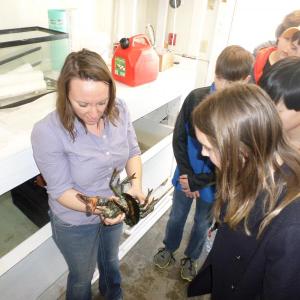An instructor at the Herring Gut Learning Center in Port Clyde examines a lobster with students from the Center for Teaching and Learning in Edgecomb. Courtesy of Kamala Grohman