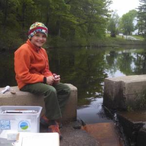 Kennebec Estuary Land Trust needs the help of volunteers of all ages to count alewives at the Nequasset Fish Ladder in Woolwich now through early June. Visit www.kennebecestuary.org to sign-up! Courtesy of Alicia Heyburn