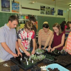 Pictured from left, Trinin Jeffrey, Sam Storer, Bryan Dunning, teacher Prema Long, Haley Davis, and Corey Crawford transplant heirloom tomato plants for the Morris Farm Plant Sale on May 30. Courtesy of Christine Hopf-Lovette