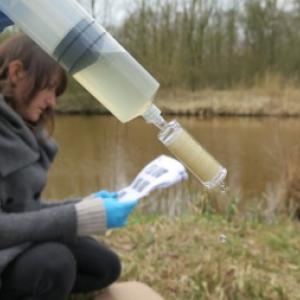 Bigelow Laboratory for Ocean Sciences is participating in Ocean Sampling Day. Courtesy photo