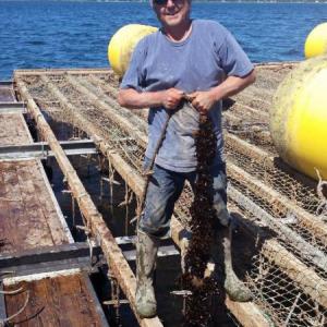Dr. Carter Newell at Pemaquid Mussel Farms. Courtesy of Linda Healy