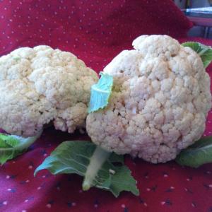Two heads of cauliflower. Courtesy of Janet Clement