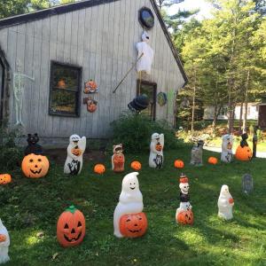 Halloween, Route 144, decorations