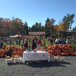 The 2014 Great Pumpkin Hunt was a wonderful success. Join in the fun at this year’s event at CMBG on Oct. 24. Courtesy photo