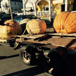 Damariscotta’s parking recently got a lot of use during the Pumpkinfest and Regatta. The town met with the Twin Villages Alliance Wednesday, October 21 to discuss the lot’s future. BEN BULKELEY/Wiscasset Newspaper