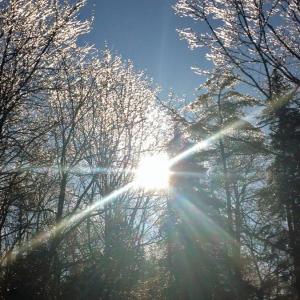 LISA KRISTOFF/Boothbay Register