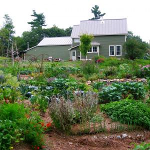 A permaculture garden. Courtesy photo