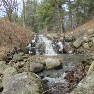 The Bass Falls Preserve off Route 218 in Alna. PHIL DI VECE/Wiscasset Newspaper