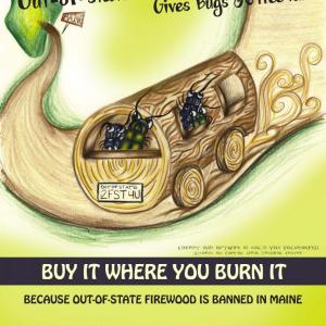 Moving firewood — whether within Maine or from out-of-state — is the single largest vector of invasive forest pests. Courtesy photo