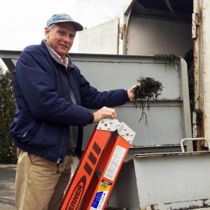 Robert Morse, owner of North American Kelp, holds a sample of the product that he has been processing for 29 years. The company is located at 41 Cross Street in Waldoboro. SUZI THAYER/Boothbay Register