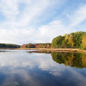 Squam Creek Preserve, Westport Island. Courtesy of Dennis Dunbar/Kennebec Estuary Land Trust.