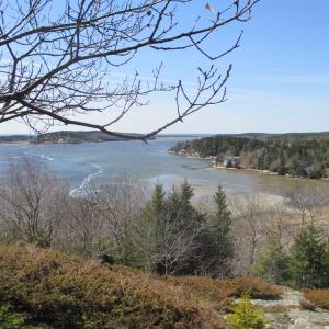 The view looking southwest from the Cox Head summit in the Wilber Preserve, Phippsburg. PHIL DI VECE/Wiscasset Newspaper