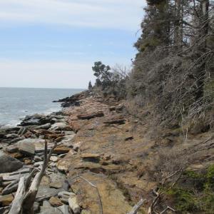 The shoreline looking toward Pemaquid Point from the Tibbitts Trail. PHIL DI VECE/Wiscasset Newspaper