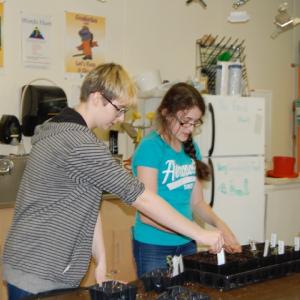 Jamie Major, left, and Abigail Knight transplant heirloom tomato plants for the Morris Farm plant sale on May 21. Courtesy of Sonia Pearson