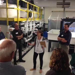 Senior Research Scientist Nichole Price gives guests a tour of the Seawater Suite in Bigelow Laboratory’s Center for Ocean Health. Courtesy photo