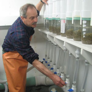 Bill Mook of Mook Sea Farm in Walpole. Courtesy photo