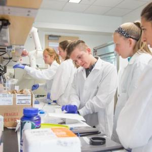 Maine high school students engage with research techniques as part of the Keller BLOOM program at Bigelow Laboratory. Courtesy of Kevin Fahrman, Foreside Photography