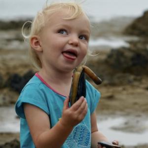 Learn to dig clams with KELT and a local Shellfish Warden at Reid State Park on July 19. Courtesy of Bob Huber