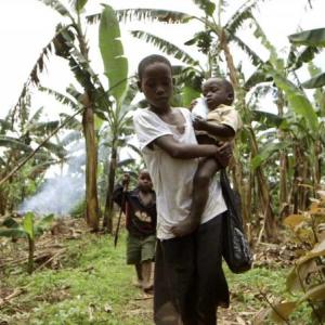 In a scene from “Food Evolution,” these boys live on a banana plantation in Uganda where some of the fruit is diseased thanks to xanthomonas wilt. Courtesy of Black Valley Films
“Food Evolution”