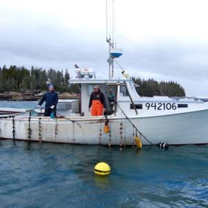 Dana Morse, Maine Sea Grant Extension Associate, and scallop growers checking the longline of ear-hung scallops in the Mussel Ridge Channel off of South Thomaston, Maine. Courtesy of Merritt Carey