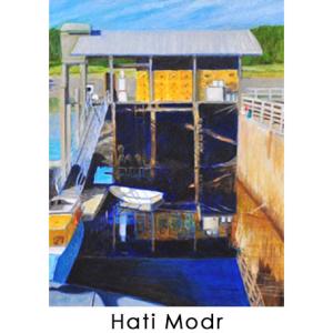 Hati Modr