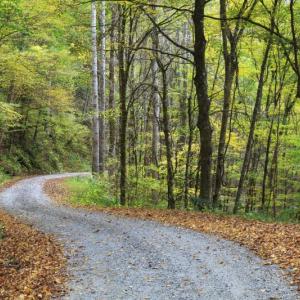 A gravel road. Courtesy photo