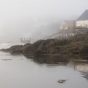 David Howarth of Southport took this photo and offered some interesting points with its submission: “As I walked along Cozy Harbor I took this picture and I was struck first by the subtle beauty and then by my own thoughts about work. I work in the technology industry and whenever I open my laptop or iPad, for whatever reason, I feel like I am working. Do lobstermen feel the same way about boats and the ocean? Do they receive pleasure from the idyllic scenes non-lobstermen covet? A lobstermen’s life is hard. I sincerely hope they still derive pleasure from their surroundings and are able to separate the beauty from the work.