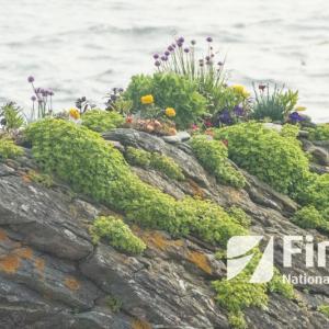 The cover photo of First National Bank’s 2018 wall and desk calendars was taken by Deborah Snyder of Boothbay Harbor. Courtesy photo