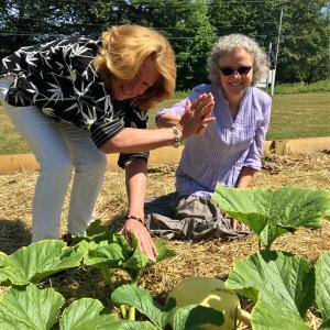 Jean Krause, left, and Pastor Kate Pinkham check the progress on their giant pumpkin at Edgecomb Community Church. SUZI THAYER/Boothbay Register