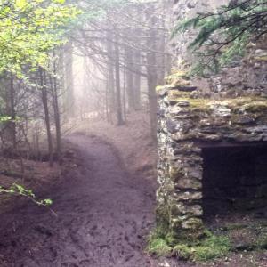 Appalachian Trail
