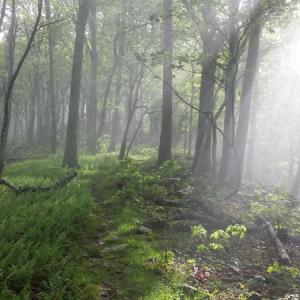 Appalachian Trail
