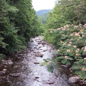 Appalachian Trail