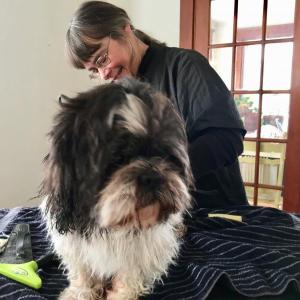 Mary Jo Foley begins to groom Elliot in his own home. SUZI THAYER/Boothbay Register