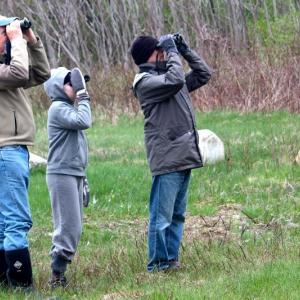 Four conservation organizations in the Midcoast offer ample opportunities to get outdoors and learn about birds this spring. Courtesy of Curt Chipman