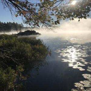 Sunlit Little Dyer Pond at Hidden Valley Nature Center. Courtesy of Danielle Triffitt