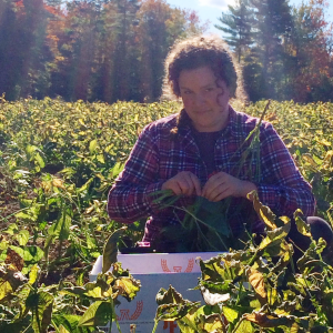 Chayli Buenger gleaning green beans last fall. Courtesy of Healthy Lincoln County