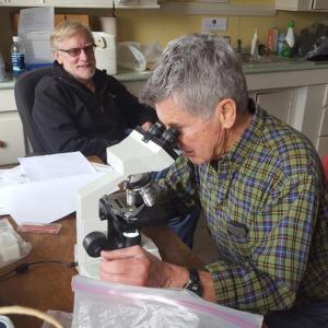 Damariscotta River Association volunteer Dick MacKenzie observes phytoplankton under a microscope as Steve Wallace looks on. Courtesy of DRA