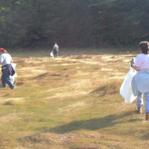 DRA volunteers pick up trash in a salt marsh along the Damariscotta River. Courtesy of the DRA