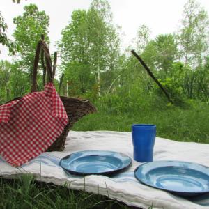 Lincoln County Historical Association invites the public to enjoy a picnic on the grounds of its sites in Damariscotta, Wiscasset, and Dresden. Courtesy of L. Miller