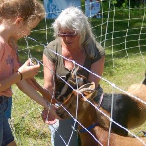 Soleil Moody feeds Marshmellow, owned by Allison Brown of Dresden. ART MAYERS/Wiscasset Newspaper